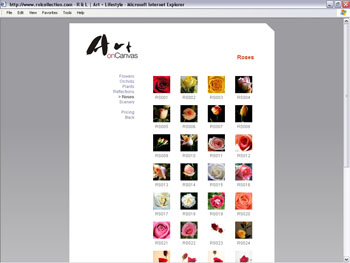 Penang Web & interactive Designer & Developer